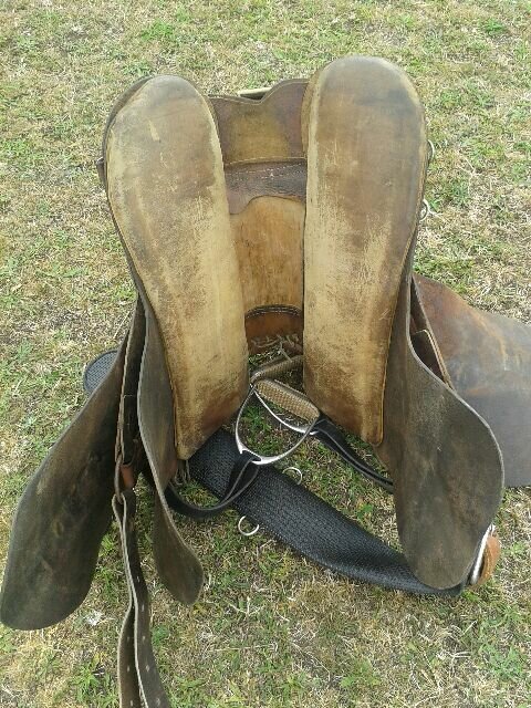 studerbaker saddle 4.jpg