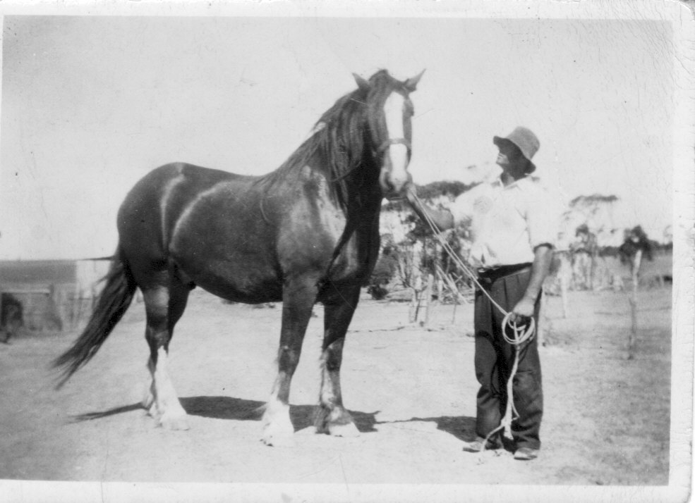 Father and horse.jpg