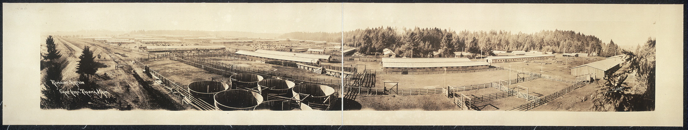 Remount Station 1917