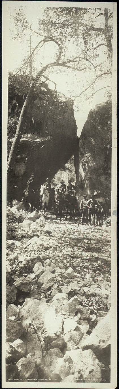 Horses at Yosemite, 1909