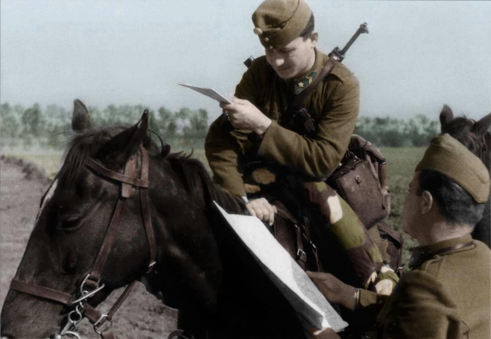 Hungarian Cavalry #1.jpg