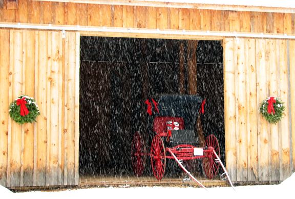 Buggy in Boalsburg barn.jpg