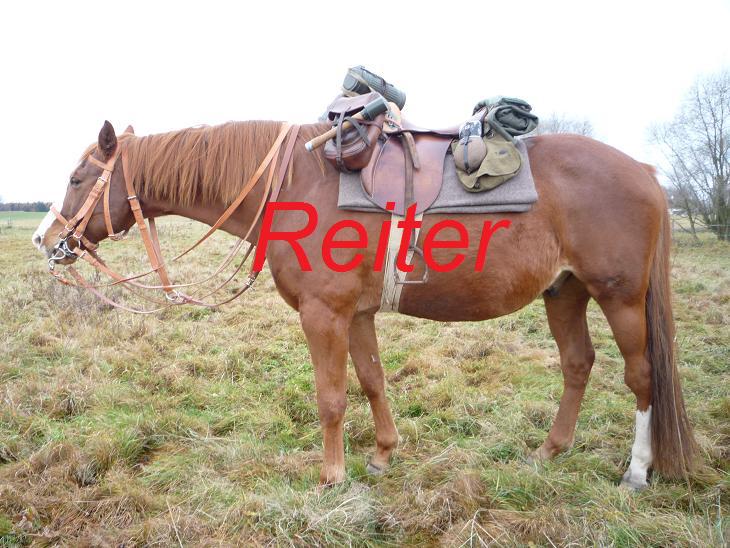 KavallerieausrÃ¼stung WW2.JPG